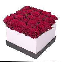 25 roses in a box Korop