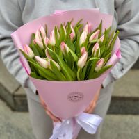 25 pink tulips Castell D'Aro
