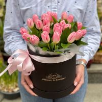 25 розовых тюльпанов в коробке Гринвиль