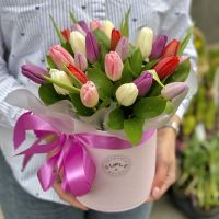 25 tulips in a box Akashi