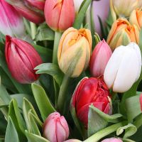 Bouquet of flowers Tulips! Kalanchak
                            