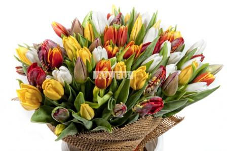 Bouquet of flowers Tulips!
													