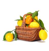 Recommended! vitamin C cart Agronomovka