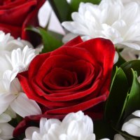 Букет из красных роз и хризантем Турбов