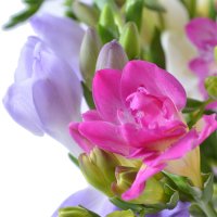 Букет цветов Радуга Мсида
                            