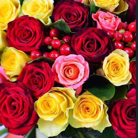 100 разноцветных роз 100 разноцветных роз