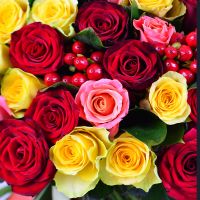 101 multicolored roses Petrikovka
