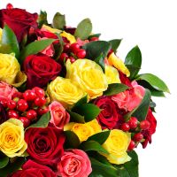 100 разноцветных роз Виль