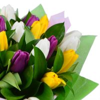  Bouquet  35 tulips Nurmo
														