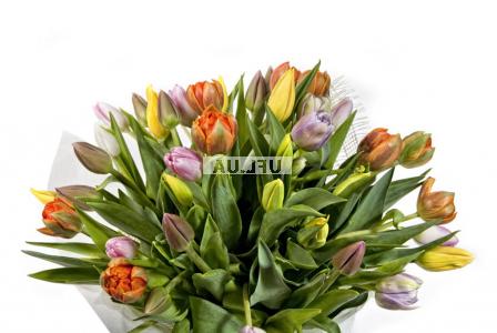  Bouquet  35 tulips
													