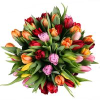  Bouquet Tulips 45 Skadovsk
														