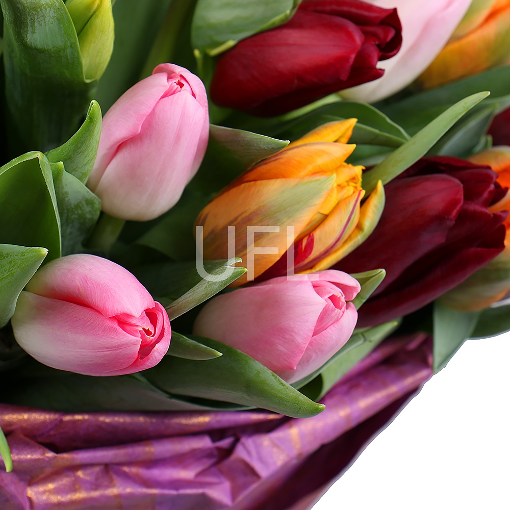  Bouquet Tulips 45
													