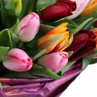  Bouquet Tulips 45 Barbados
                            