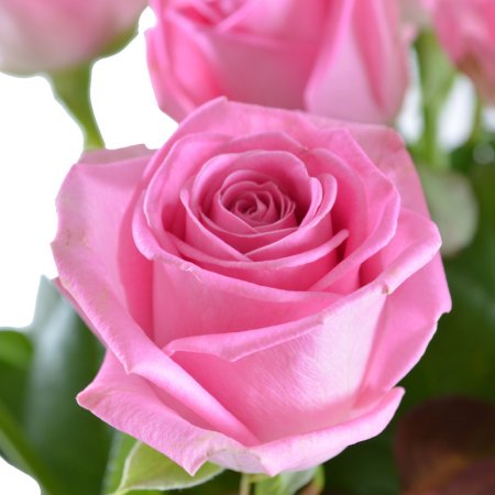 Букет Тет-а-тет 13 рожевих троянд