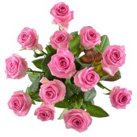 Букет Тет-а-тет 13 рожевих троянд Н\'юарк