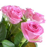 Букет Тет-а-тет 13 рожевих троянд Айленд