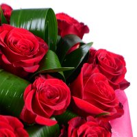 Полум'я пристрасті 23 троянди Монастириська