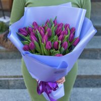 29 purple tulips Bryukhovychi
