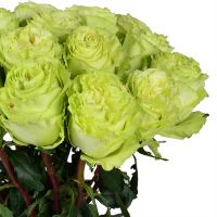 Bouquet of flowers Woodmaid Lisichansk
														