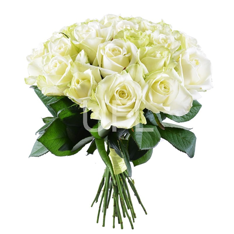 Диамант - Бизнес букет - Розы белые 25 шт Карловы Вары
