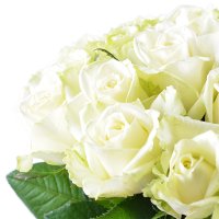 Диамант - Бизнес букет - Розы белые 25 шт Эннепетал
