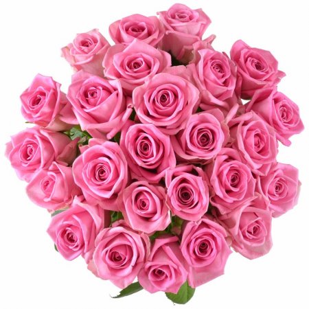 Быть с тобой 25 розовых роз Быть с тобой 25 розовых роз