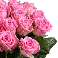 Быть с тобой 25 розовых роз Кастро Вали