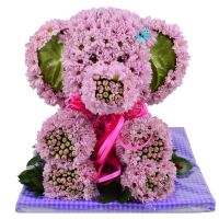  Bouquet Pink elephant Nanjing
                            