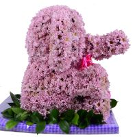  Игрушка из цветов - Розовый слон Гиссен