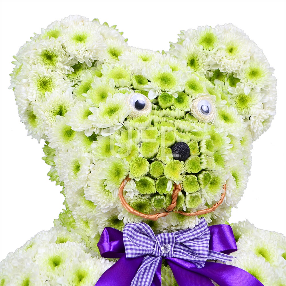  Bouquet Northern Bear
                            