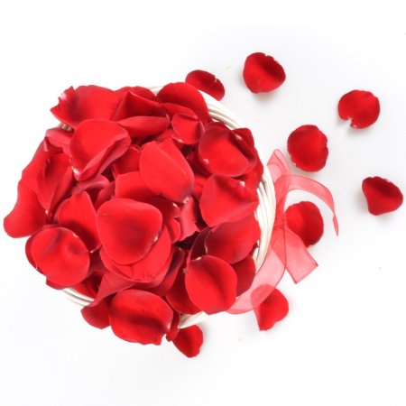 Лепестки красных роз