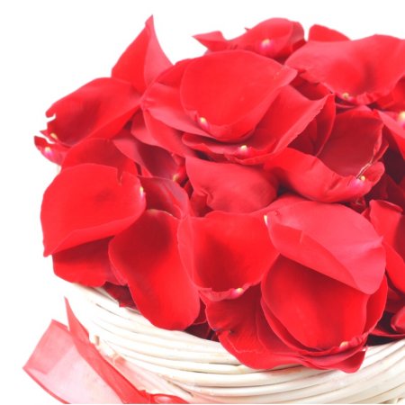 Лепестки красных роз