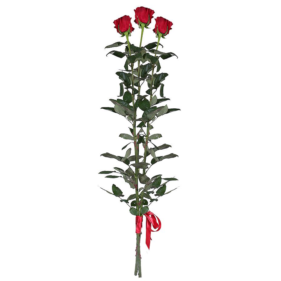 3 червоні троянди (90 см) 3 червоні троянди (90 см)