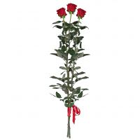 3 червоні троянди (90 см) Бронкс