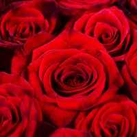 Серце із троянд  (145 троянд) Гагарін (Узбекистан)