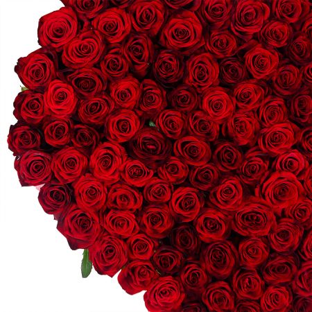 Сердце из роз (145 роз) Сердце из роз (145 роз)