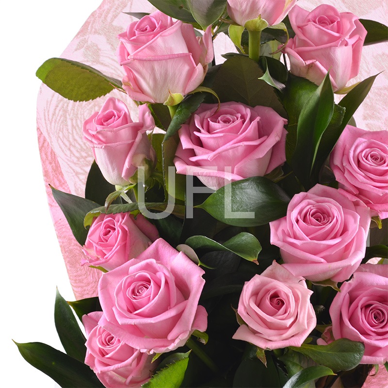 13 Pink roses