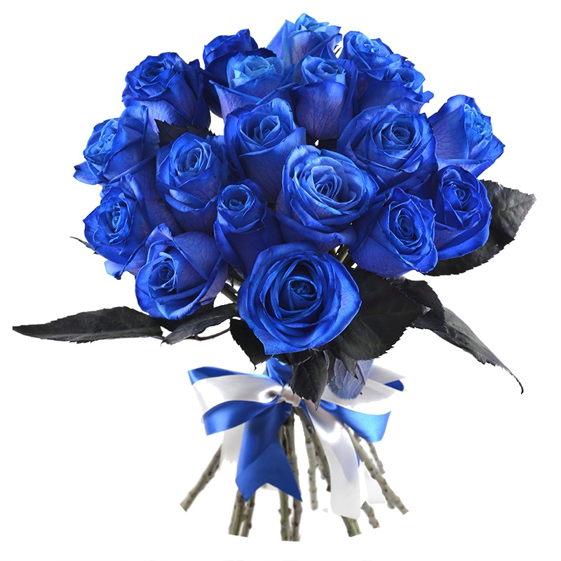 Blue roses Mystic Blue roses Mystic