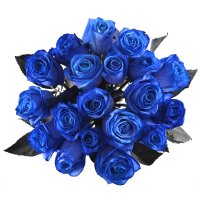 Blue roses Mystic Macon
