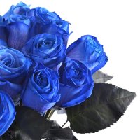 Blue roses Mystic Pyrgos
