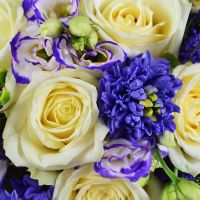 Свадебный букет цветов Хлопушка Виндхоук