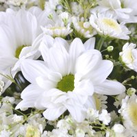 Bouquet of flowers Thumbelina Glyfada
                            