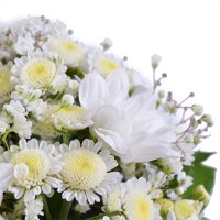 Bouquet of flowers Thumbelina Yalanets
                            