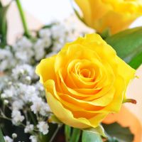 Цветы поштучно желтые розы Бернс