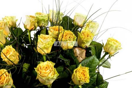 Yellow roses by the piece