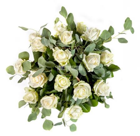 Квіти поштучно білі троянди Квіти поштучно білі троянди