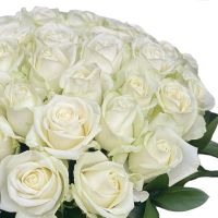 Цветы поштучно белые розы Элгин