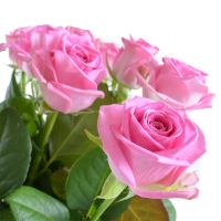 Квіти поштучно рожеві троянди Келькхайм
