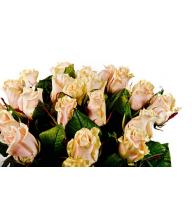 Cream roses by the piece Effe