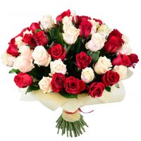 51 red and creamy roses Alma-Ata